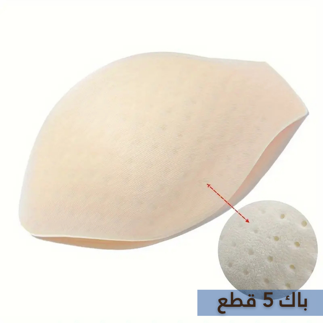 حامي المنطقة الحساسة